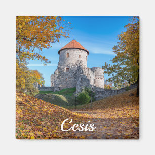 Mittelalterliche Burg umgeben von Wäldern Magnet