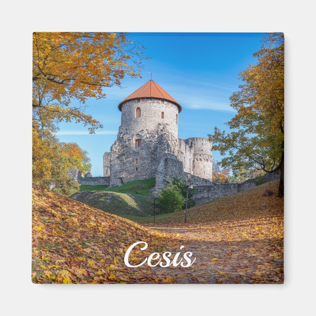 Mittelalterliche Burg umgeben von Wäldern Magnet (Vorne)