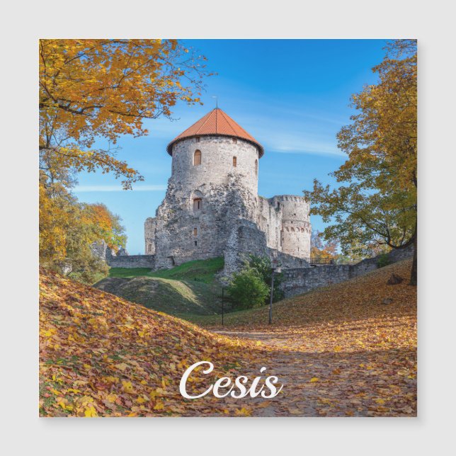 Mittelalterliche Burg umgeben von Wäldern Magnetkarte (Vorderseite)