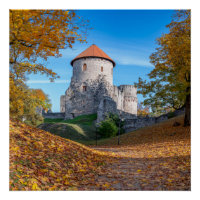 Mittelalterliche Burg umgeben von Wäldern