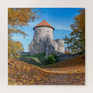 Mittelalterliche Burg umgeben von Wäldern Puzzle