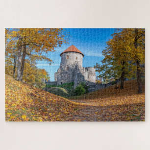 Mittelalterliche Burg von Wald umgeben Puzzle