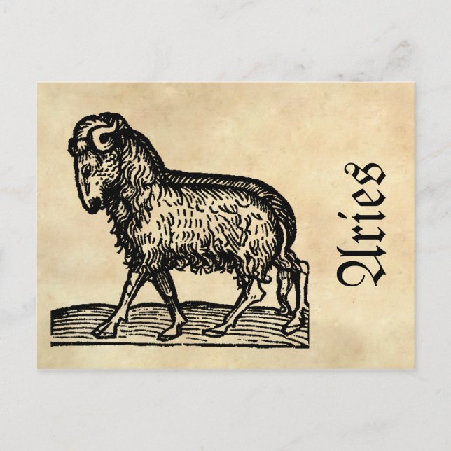 Mittelalterliche Renaissance Zodiac Symbol Aries Postkarte (Vorderseite)
