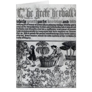 Mittelalterlicher Kräutergarten