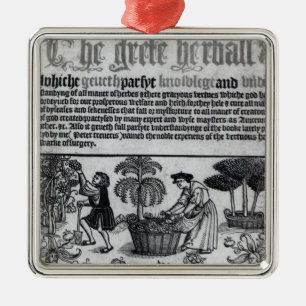 Mittelalterlicher Kräutergarten Silbernes Ornament