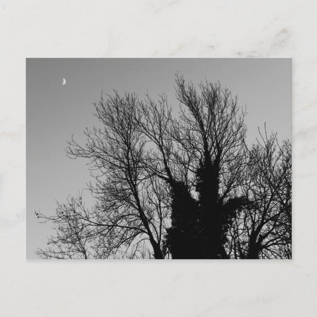 Mittelalterlicher Winternachmittag Postkarte (Vorderseite)