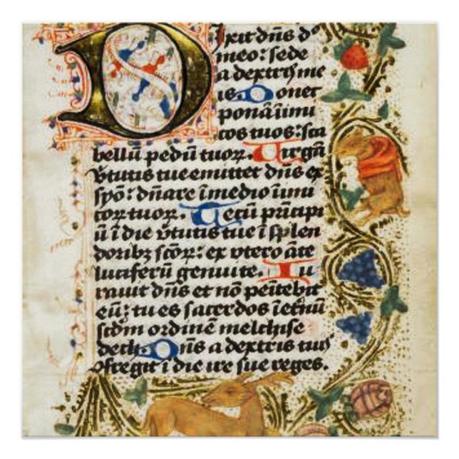 mittelalterliches, beleuchtetes Manuskript-Poster Poster (Vorderseite)