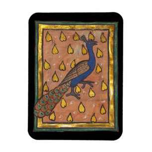 Mittelalterliches Bestiarium Pfau c. 1270 Magnet