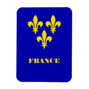 Mittelalterliches Französisches Königliches Standa Magnet