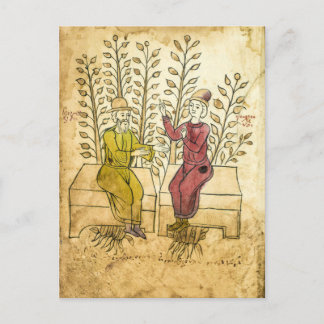 Mittelalterliches Kräutermanuskript, echtes Foto P Postkarte