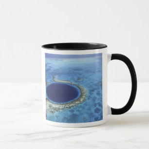 MITTELAMERIKA, Belize, Große Korallenriffe vor Tasse