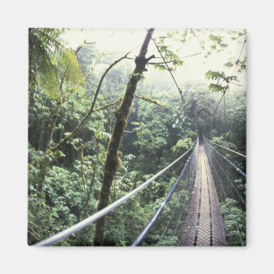 Mittelamerika, Costa Rica, Monteverde Cloud Magnet