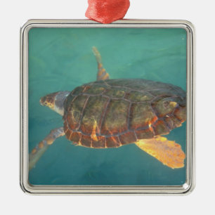 Mittelamerika, Panama, Bocas Del Torro Silbernes Ornament
