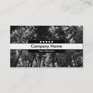 Mittelband 5 Spots - Holzkanopie 0 Visitenkarte