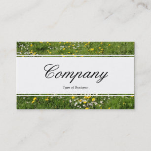 Mittelband (eingekeilt) - Script - Wiese-Blume Visitenkarte