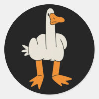Mittelfinger Möwe Humor Lustige Geste Finger Weg