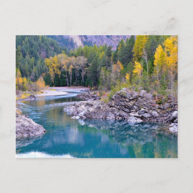 Mittelgabel des Flathead River Foto Postkarte (Vorderseite)