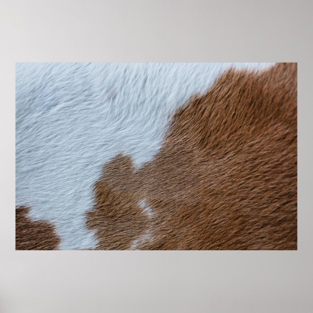 MittelJahrhundert Poster (Vorne)