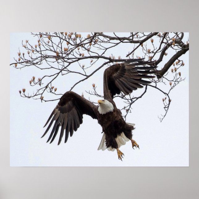 Mittelluftverkehr Poster (Vorne)