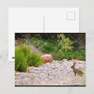 Mittelmeer-Morgen Postkarte
