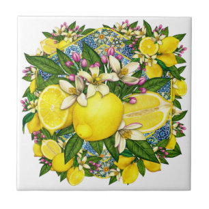 Mittelmeer-Muster Farbe 6 Keramik Tile Fliese