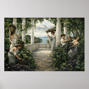 Mittelmeer-Weinreben-Ernte Poster