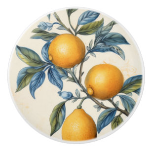 Mittelmeerlemon Grove Keramikknauf