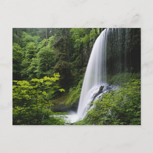 Mittelnordfallen, Silver Falls Staat Park, Postkarte (Vorderseite)