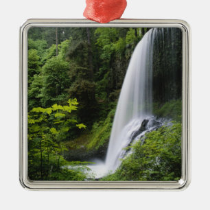 Mittelnordfallen, Silver Falls Staat Park, Silbernes Ornament