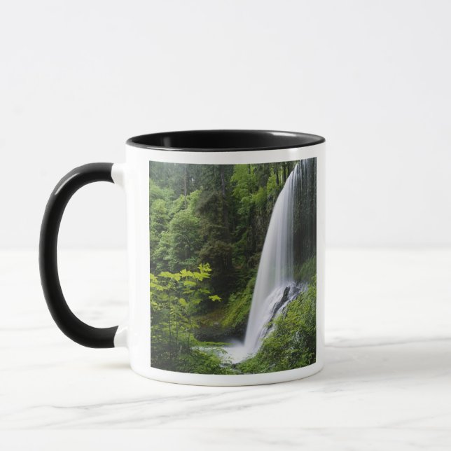 Mittelnordfallen, Silver Falls Staat Park, Tasse (Links)