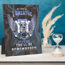 Mittelschnauzer solange ich das Gedächtnis durchat