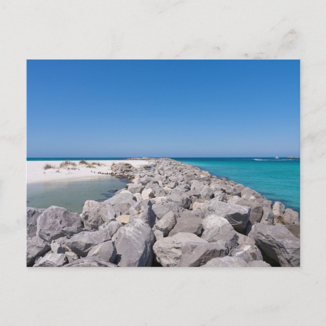 Mitten in der Muschel Jetty Postcard Postkarte (Vorderseite)