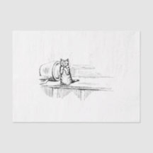 Mittens the Kitten (Scaredy Cat) (Beatrix Potter)