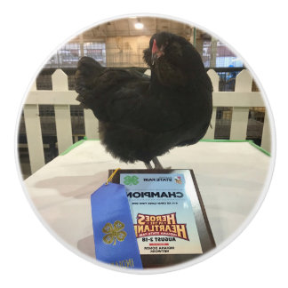 Mitternacht Ameraucana Champion Hühnerknopf ziehen Keramikknauf