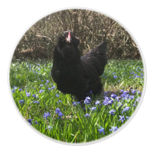Mitternacht-Blume-Knöpfe ziehen Hühnerfleisch Sc Keramikknauf