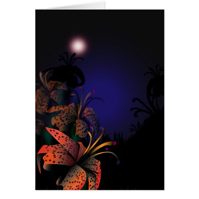 Mitternacht-Lilien (Vorne)