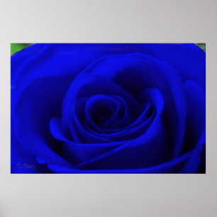 Mitternacht Poster