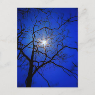 Mitternacht Postkarte