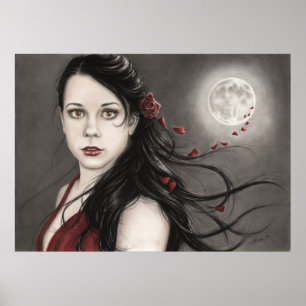 Mitternacht-Rose-Poster Poster