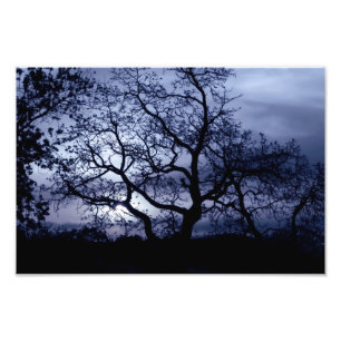 Mitternacht Sunset Fotodruck