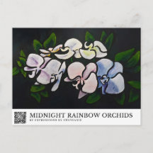 Mitternachts-Regenbogen-Orchideen