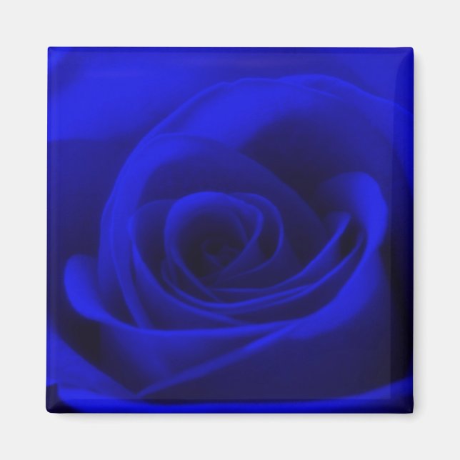 Mitternachtsblaue Rose Magnet (Vorne)