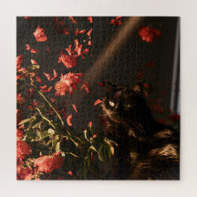 Mitternachtsblüten Katzen