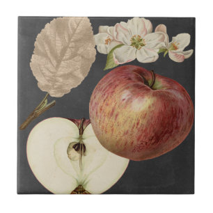 Mitternachtsernte II Fliese