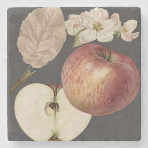 Mitternachtsernte II Steinuntersetzer