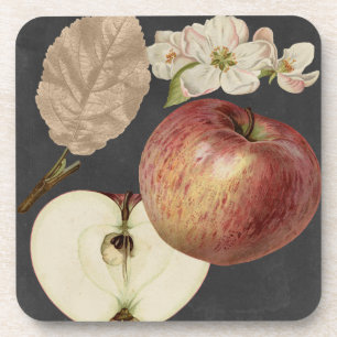 Mitternachtsernte II Untersetzer