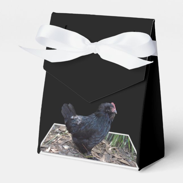 "Mitternachtsfedern: Ein schwarzes Huhn in Popout  Geschenkschachtel (Vorderseite)