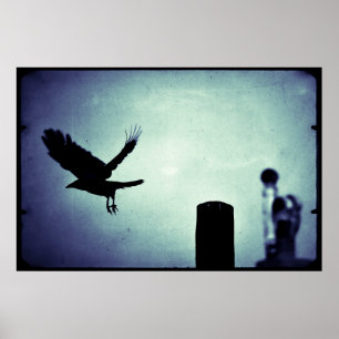 Mitternachtsflug der Elster Poster