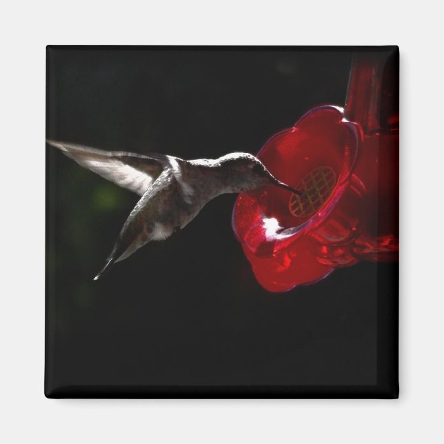 Mitternachtsjause Magnet (Vorne)