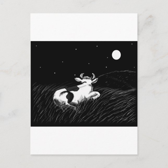 Mitternachtskühe Postkarte (Vorderseite)